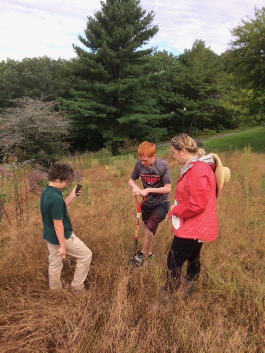 Planting-West-End